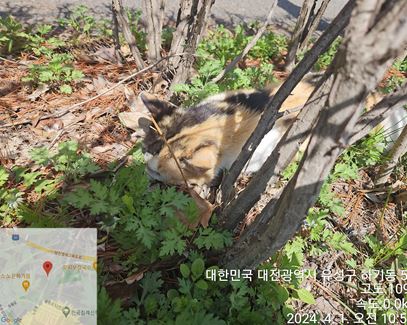 종료(자연사) 한국…